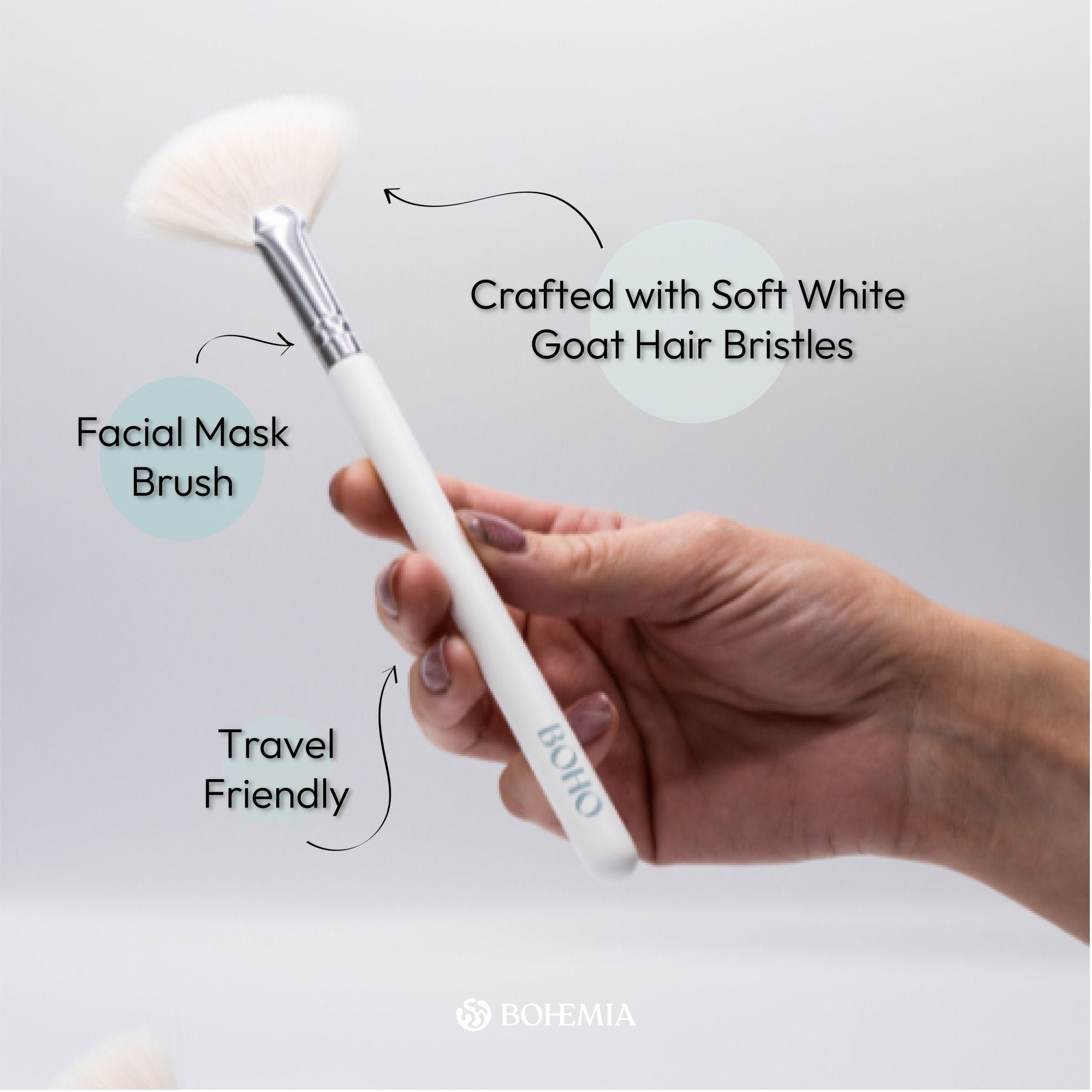 Regular Size Fan Brush with Soft White Goat Hair for Facials